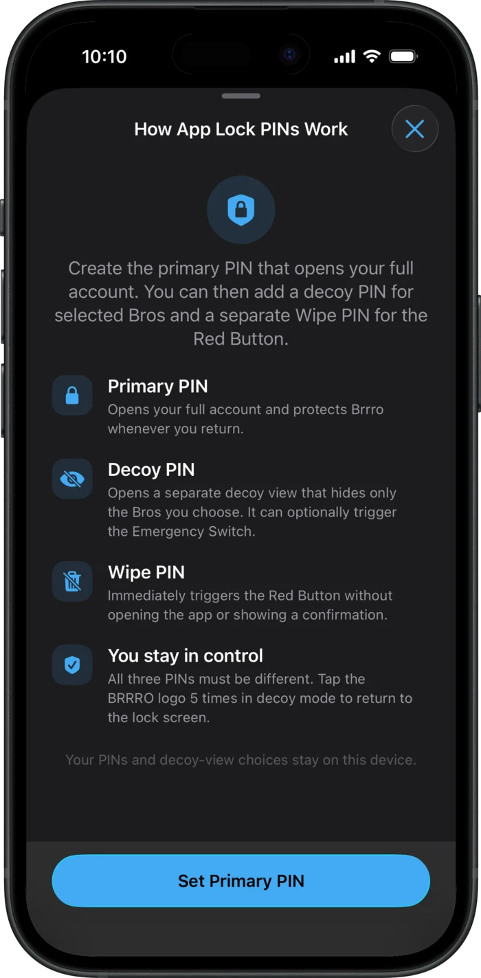 The How App Lock PINs Work screen explaining the primary PIN, decoy PIN, and wipe PIN.